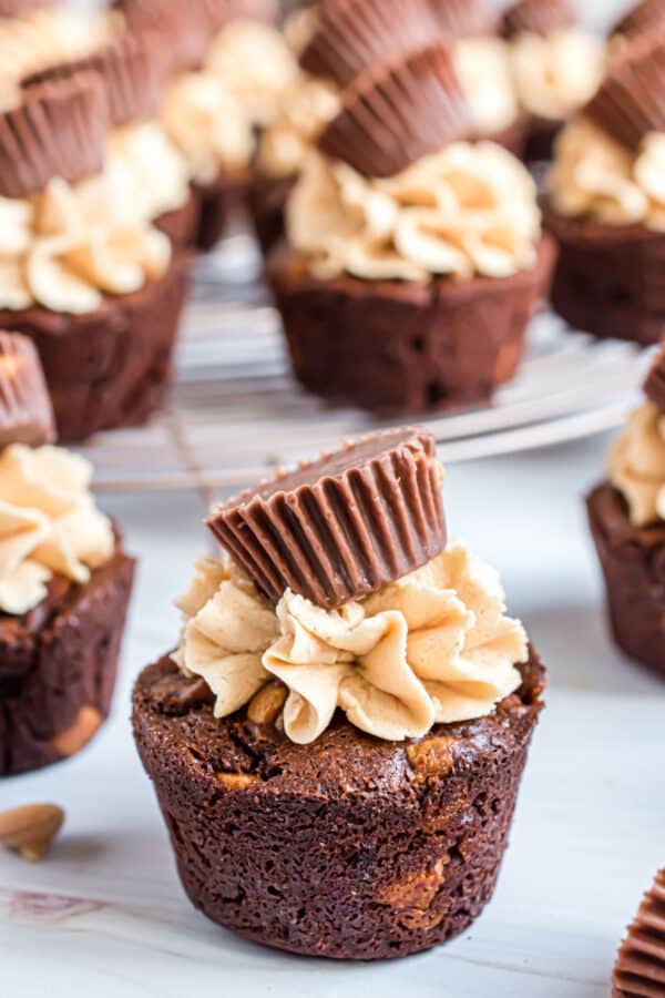 Peanut Butter Brownie Bites Recipe Shugary Sweets