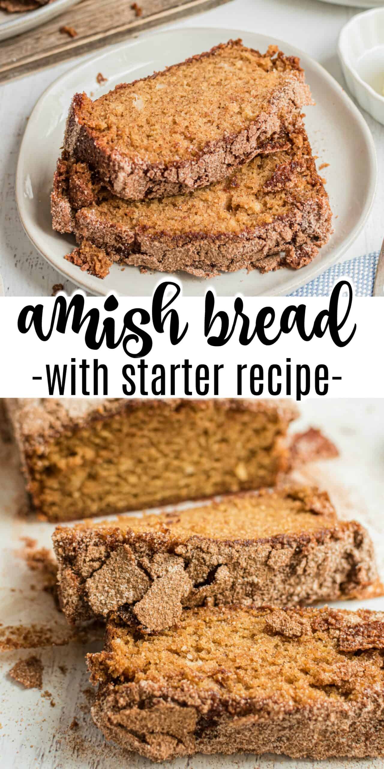 Amish Friendship Bread Recipe with Starter Shugary Sweets