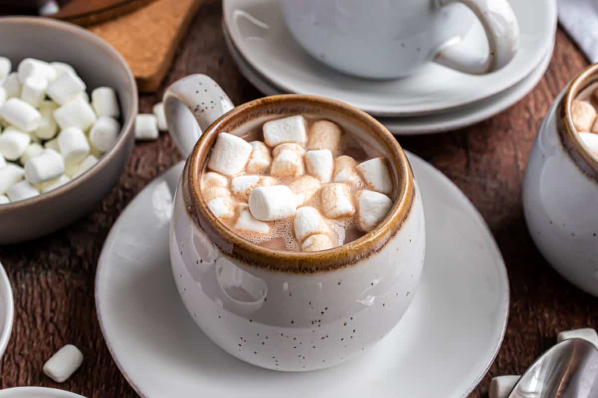 Instant Pot Hot Chocolate Recipe - Shugary Sweets