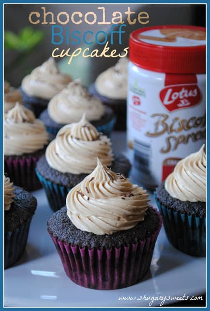 Chocolate Biscoff Cupcakes - Shugary Sweets