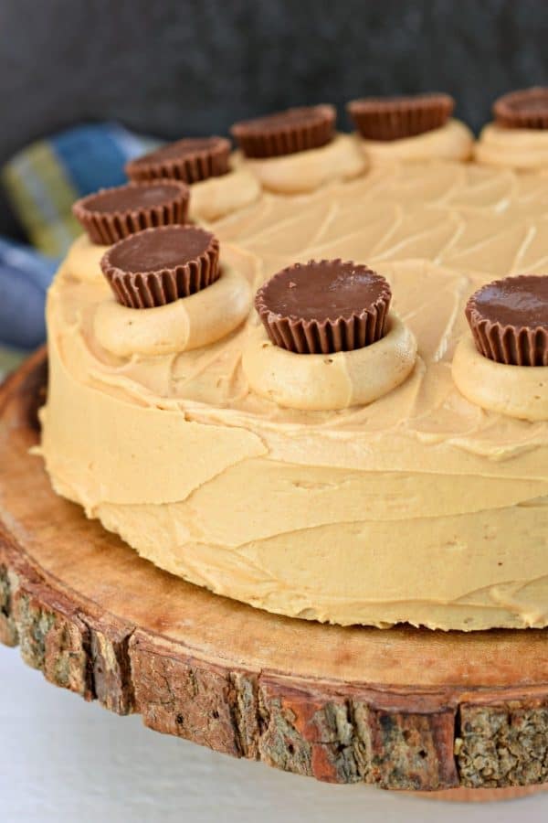 Reeses Peanut Butter Cake Recipe Shugary Sweets 