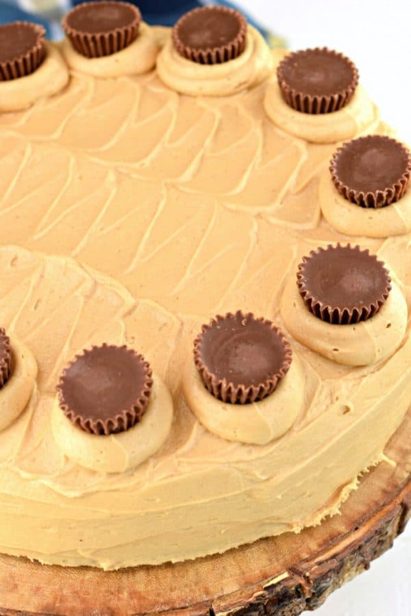 Reeses Peanut Butter Cake Recipe Shugary Sweets 9077