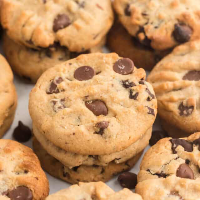 Peanut Butter Chocolate Chip Cookies Recipe - Shugary Sweets