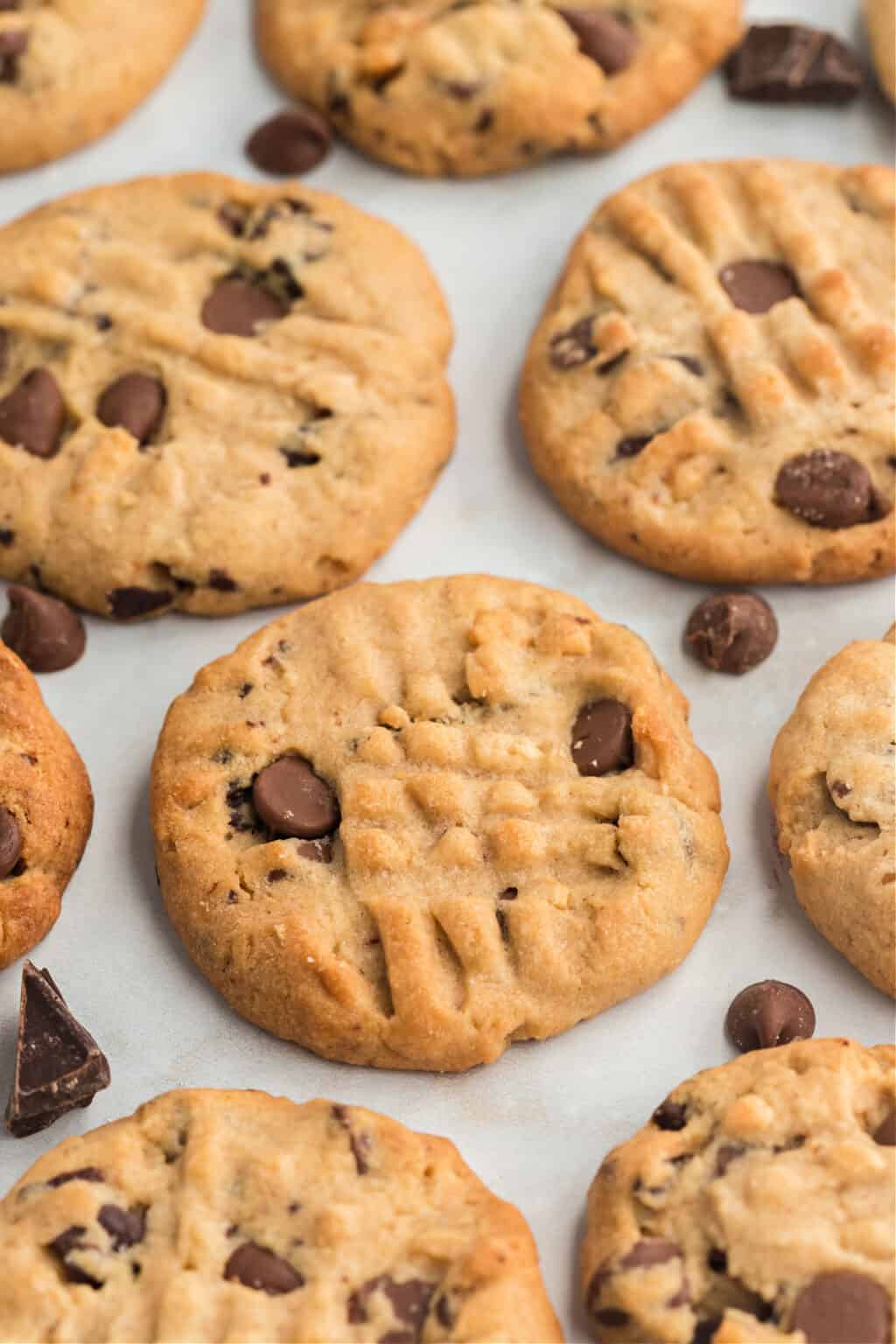 Peanut Butter Chocolate Chip Cookies Recipe - Shugary Sweets