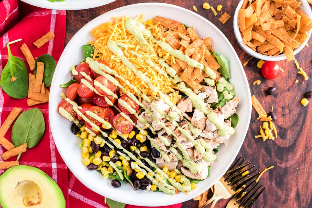 Southwest Chicken Salad Recipe - Shugary Sweets