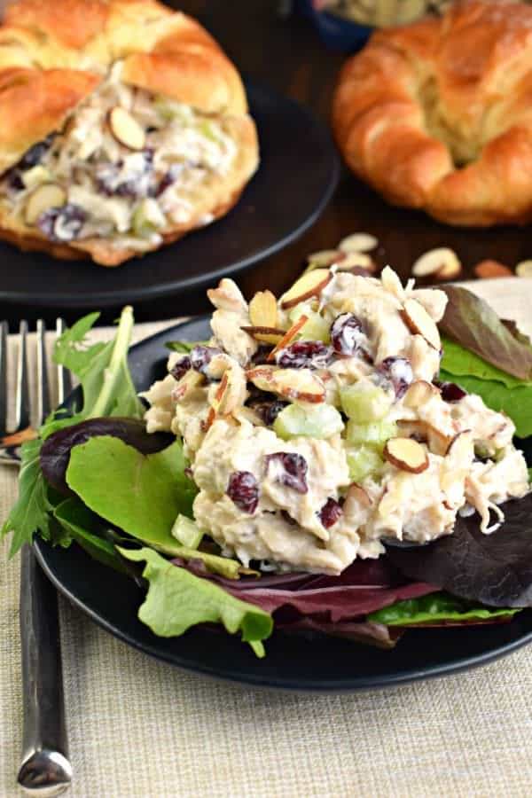 Healthy Chicken Salad | Shugary Sweets | Bloglovin’