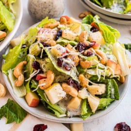 Cozy up to this Harvest Salad recipe with it's delicious Lemon Poppy Seed dressing. You'll love the flavors of apples, pears, cashews, and Swiss cheese in this hearty salad recipe!