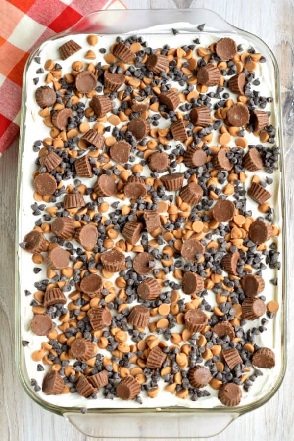 No Bake Chocolate Peanut Butter Lasagna Recipe