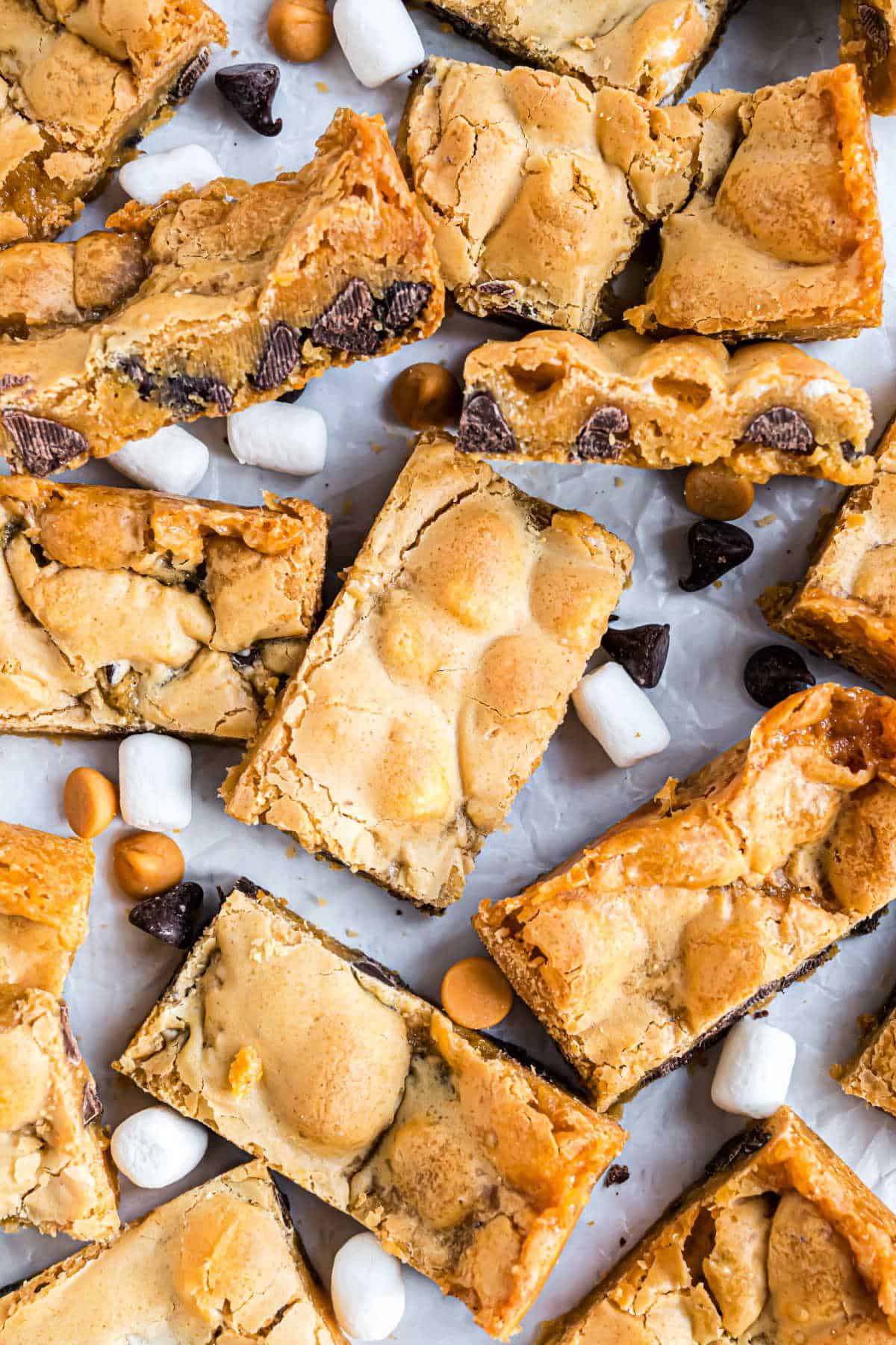 Butterscotch marshmallow bars cut into rectangles.