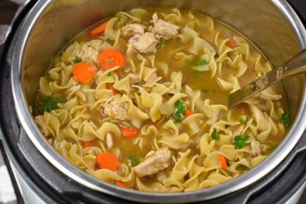 Homemade Chicken Noodle Soup Recipe {Instant Pot}