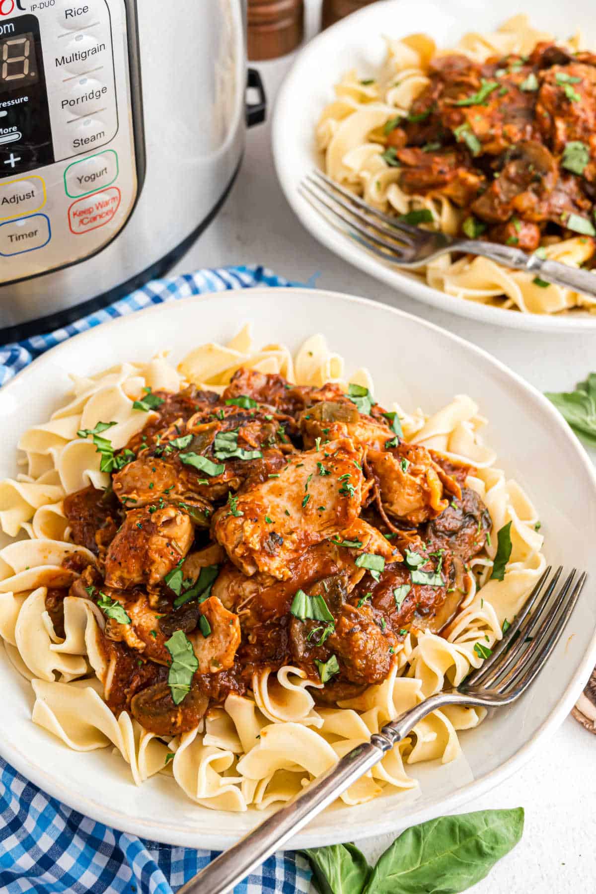 Chicken cacciatore served over noodles on a white plate.