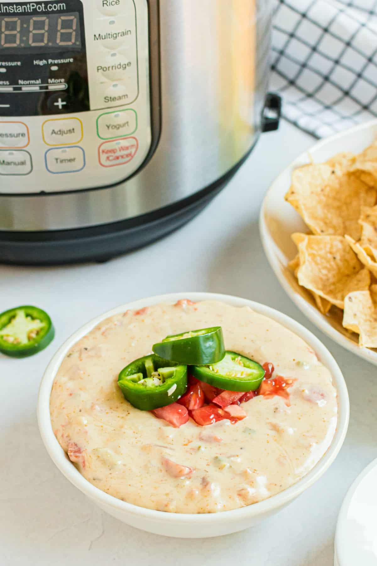 Easy Instant Pot Queso Dip Recipe - Shugary Sweets