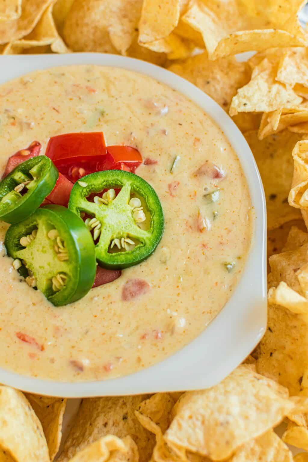 Easy Instant Pot Queso Dip Recipe - Shugary Sweets