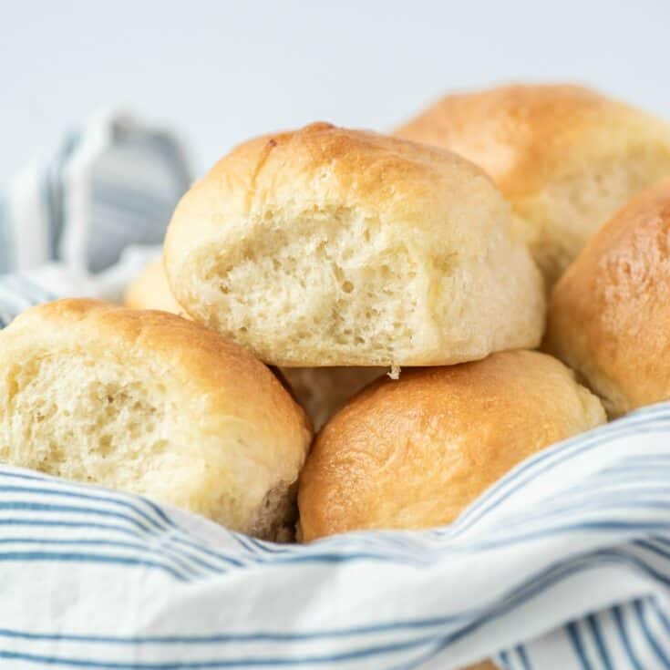 Homemade Dinner Rolls Recipe - Shugary Sweets