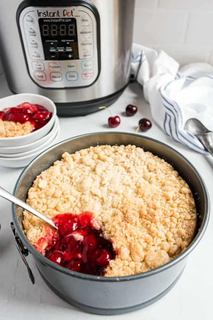 100+ of the BEST Instant Pot Recipes - Shugary Sweets