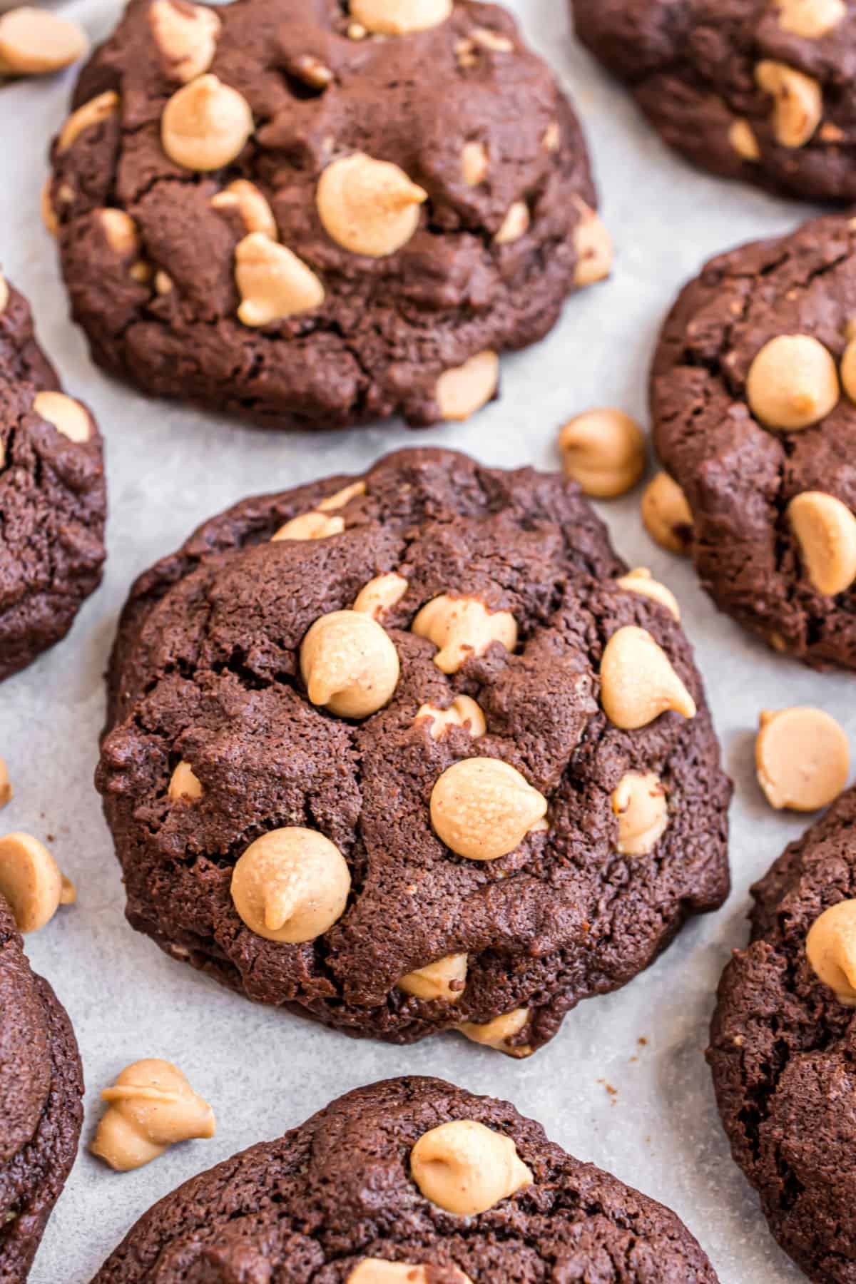 Chocolate Peanut Butter Cookies Recipe - Shugary Sweets