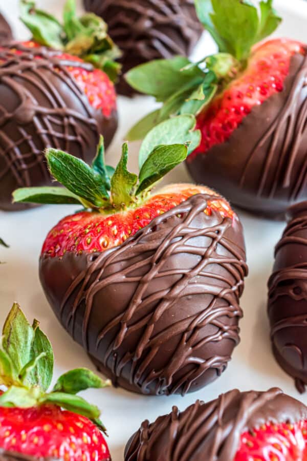 Chocolate Covered Strawberries - Shugary Sweets