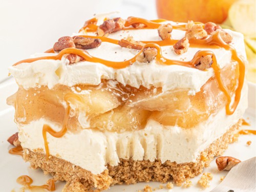 https://www.shugarysweets.com/wp-content/uploads/2023/08/apple-delight-recipe-500x375.jpg