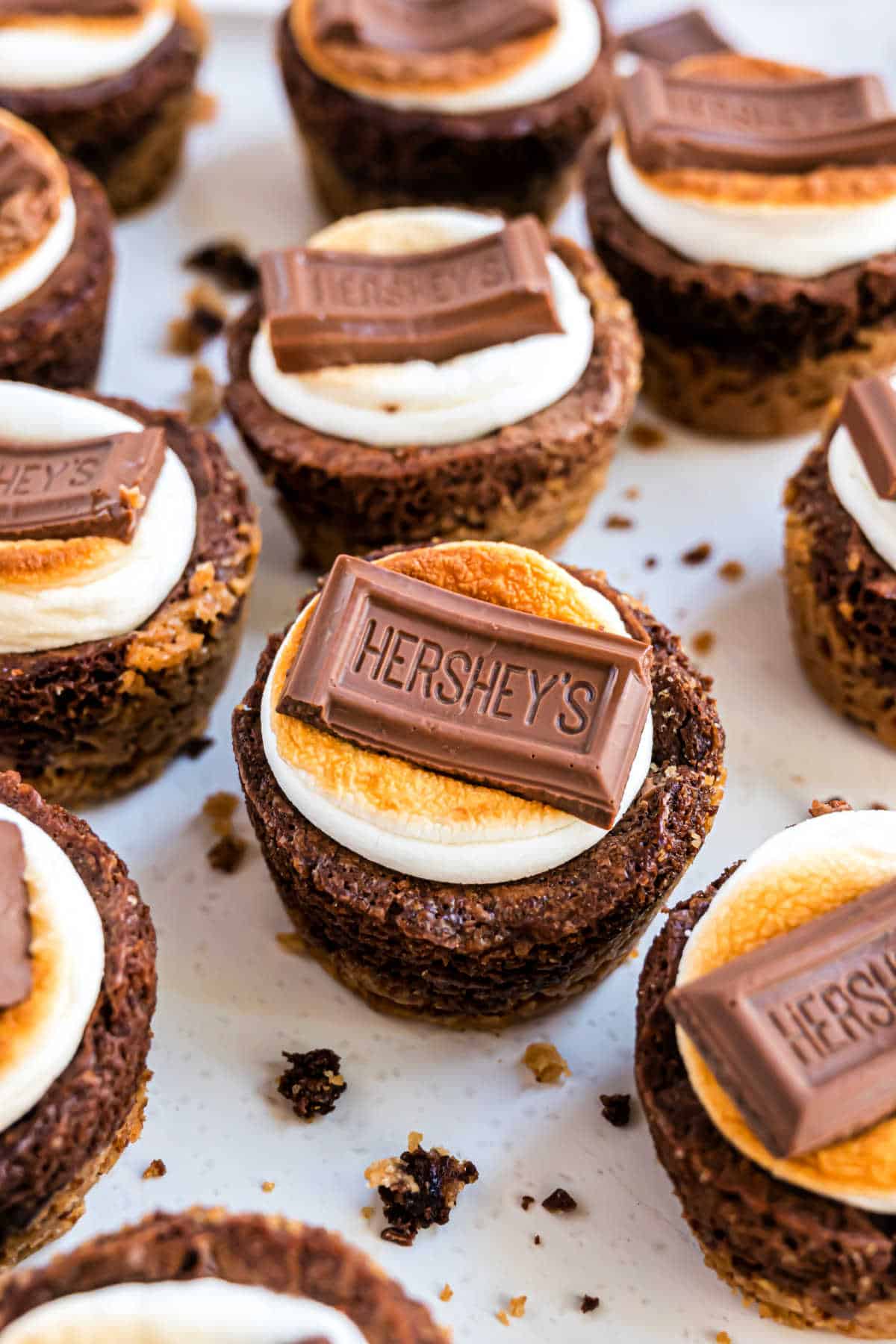 Brownie bites with s'mores toppings.