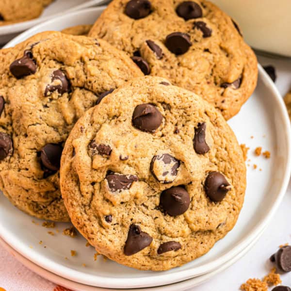 Pumpkin chocolate chip cookies on a white plate.