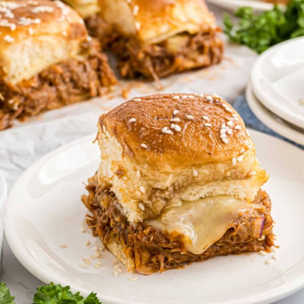 Small pulled pork slider on a white plate.